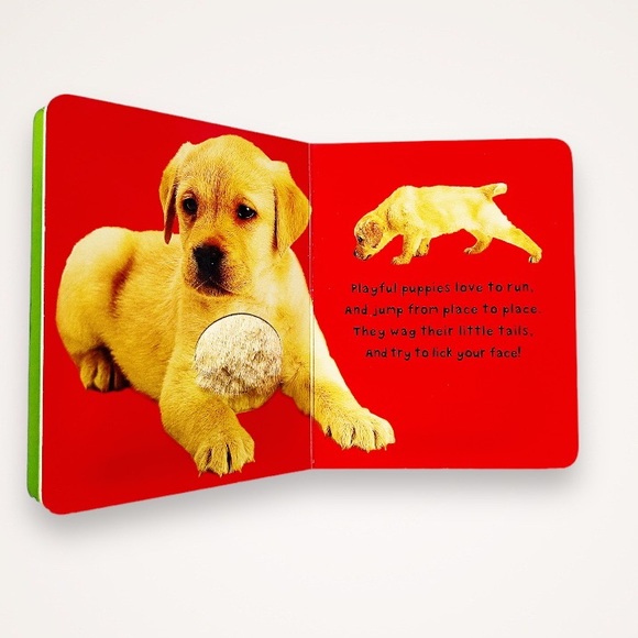 Bundle of 9 Toddler Animal Board Books - Picture 3 of 6